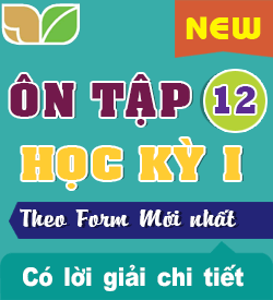 Ôn tập Học kỳ I (TA_12)